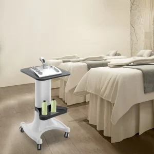 2 Tiers Salon Trolley Hairdressing Rolling Cart Beauty Tray SPA Storage Equipment Machine Organizer on Wheels